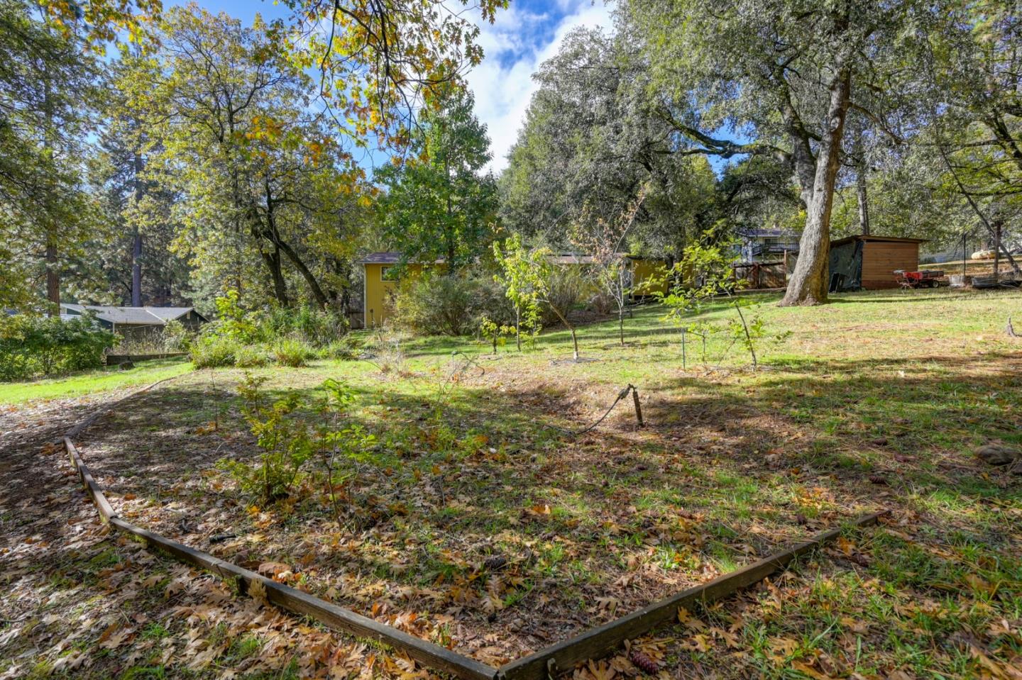 21335 Robin Lane Pine Grove, CA 95665 - Photo 55 of 66