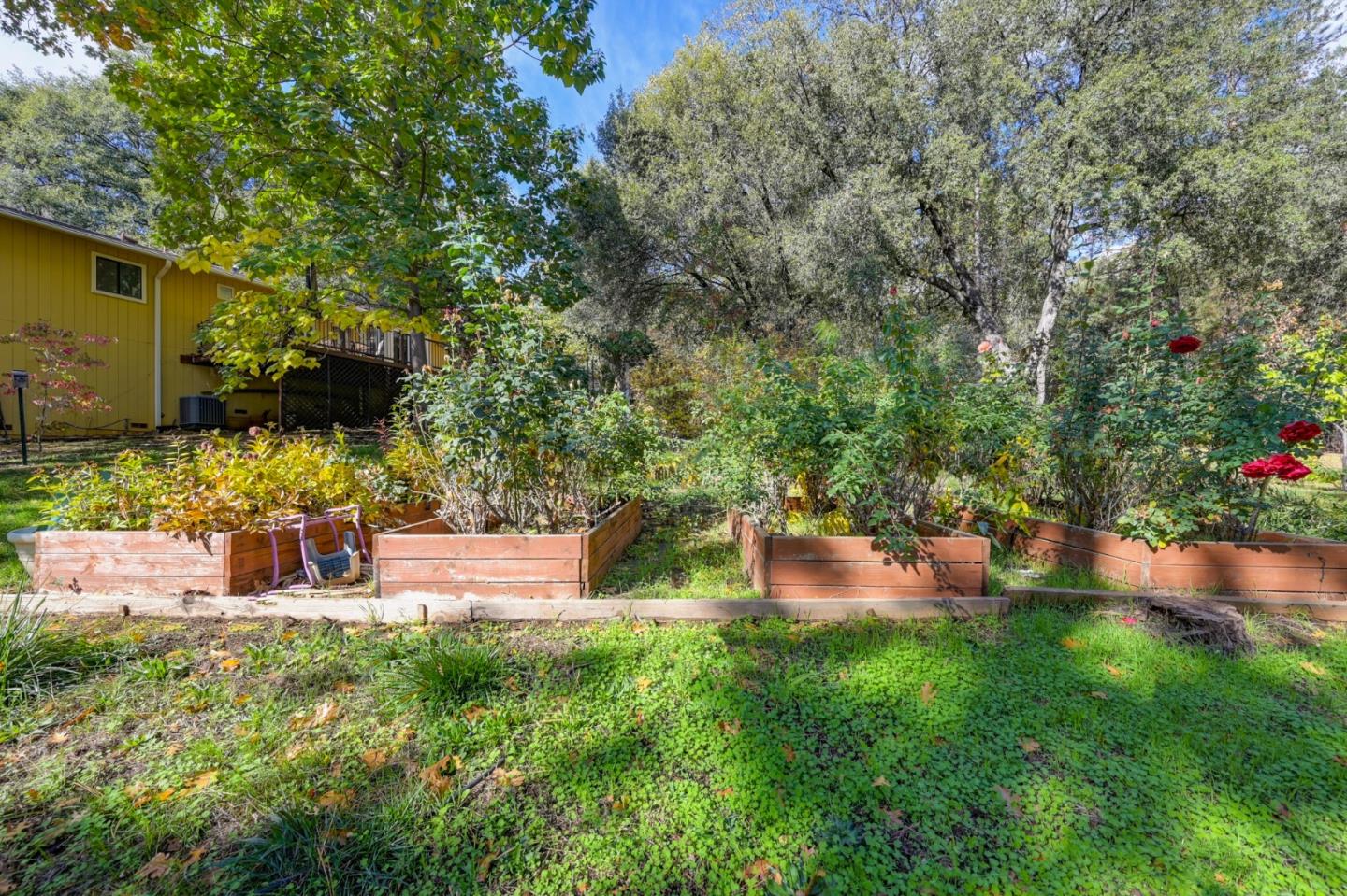 21335 Robin Lane Pine Grove, CA 95665 - Photo 58 of 66