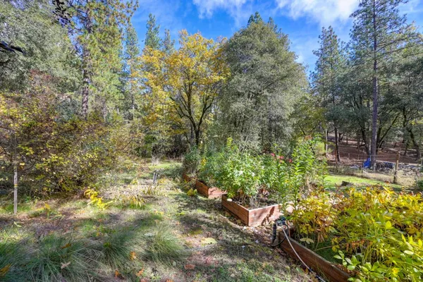 $440,000 | 21335 Robin Lane, Pine Grove, CA 95665