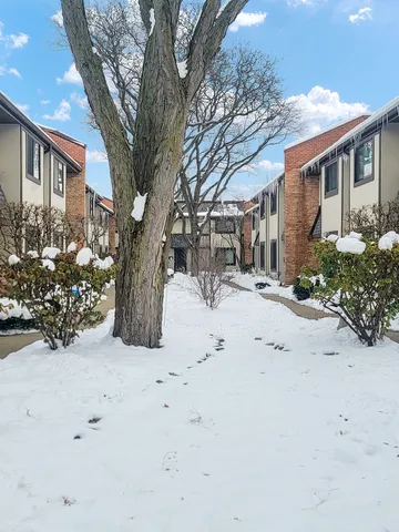 a view of snow on the roadside