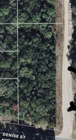 $20,000 | 0 Shappell Avenue, Interlachen, FL 32148