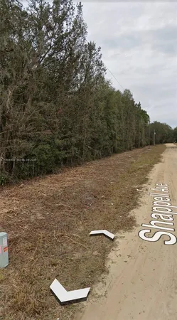 a view of a water fountain