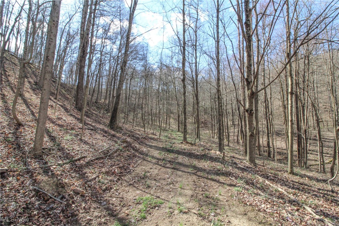 Elk Run Road New Matamoras, OH 45767 - Photo 11 of 27 View of local wilderness