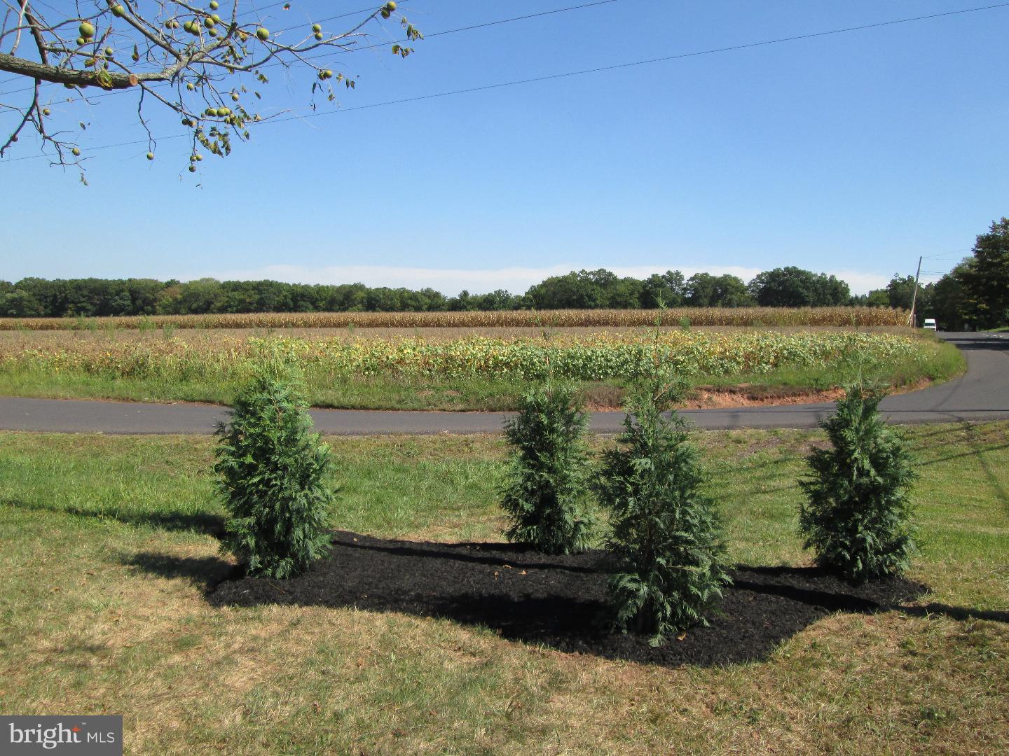 531 Township Line Road Telford, PA 18969 - Photo 4 of 25 View from Front Door