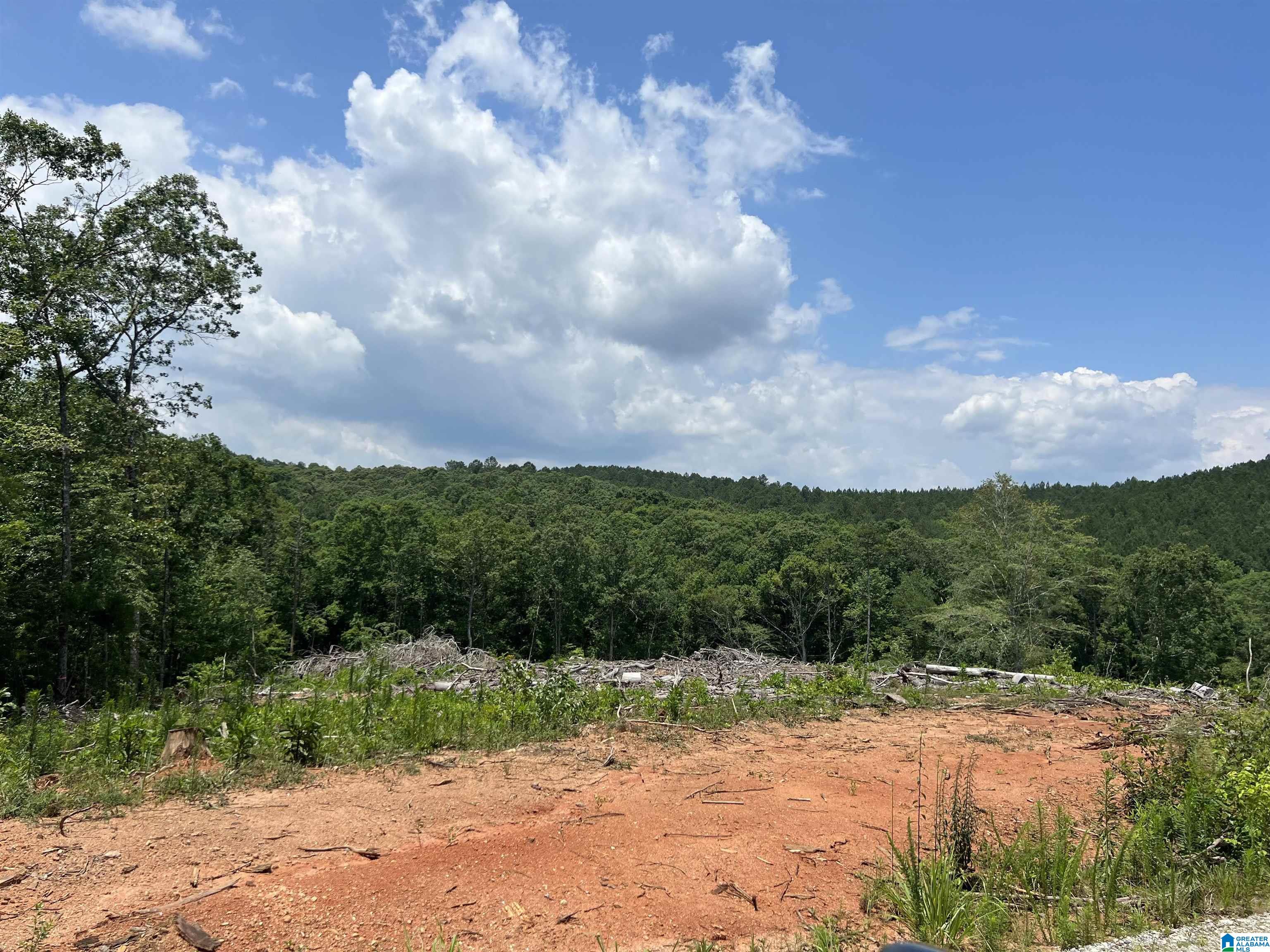 Lot40 County Road 214, Unit 40 Delta, AL 36258 - Photo 3 of 8