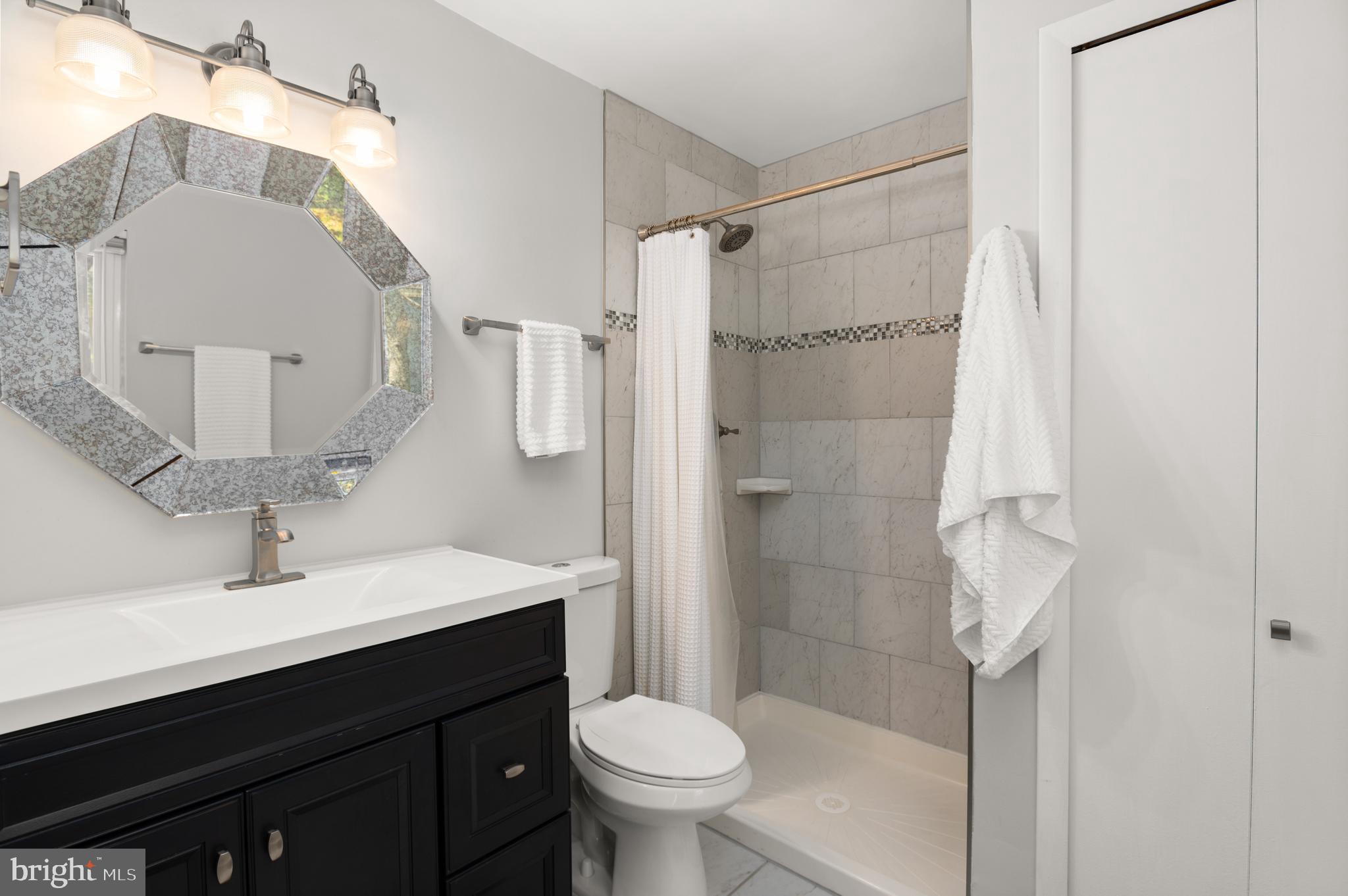 11150 Forest Edge Drive Reston, VA 20190 - Photo 26 of 30 Primary Bath