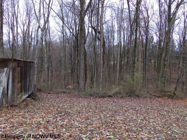 5208 Route 20 Road Buckhannon, WV 26201 - Photo 17 of 19 Gallery Image 17