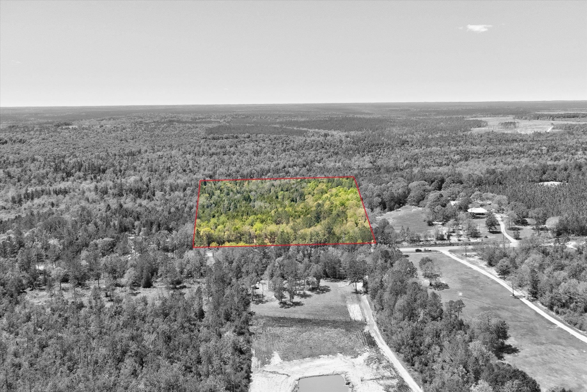 44772 Phillipsville Road Bay Minette, AL 36507 - Photo 4 of 15
