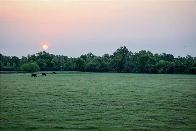 a backyard of a house with lots of green space