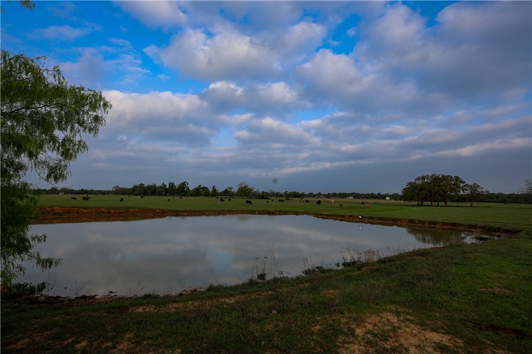 930 County Road 357 Gause, TX 77857 - Photo 3 of 17 a view of a lake from a yard