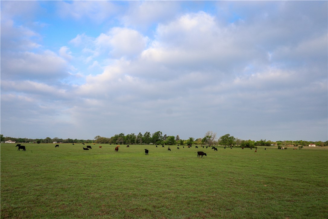930 County Road 357 Gause, TX 77857 - Photo 7 of 17 a view of a lake with houses in back