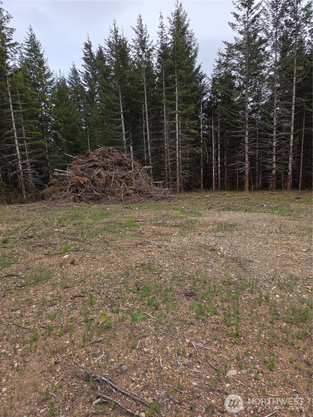 490 East Pinedirosa Road, Unit B Union, WA 98592 - Photo 1 of 6