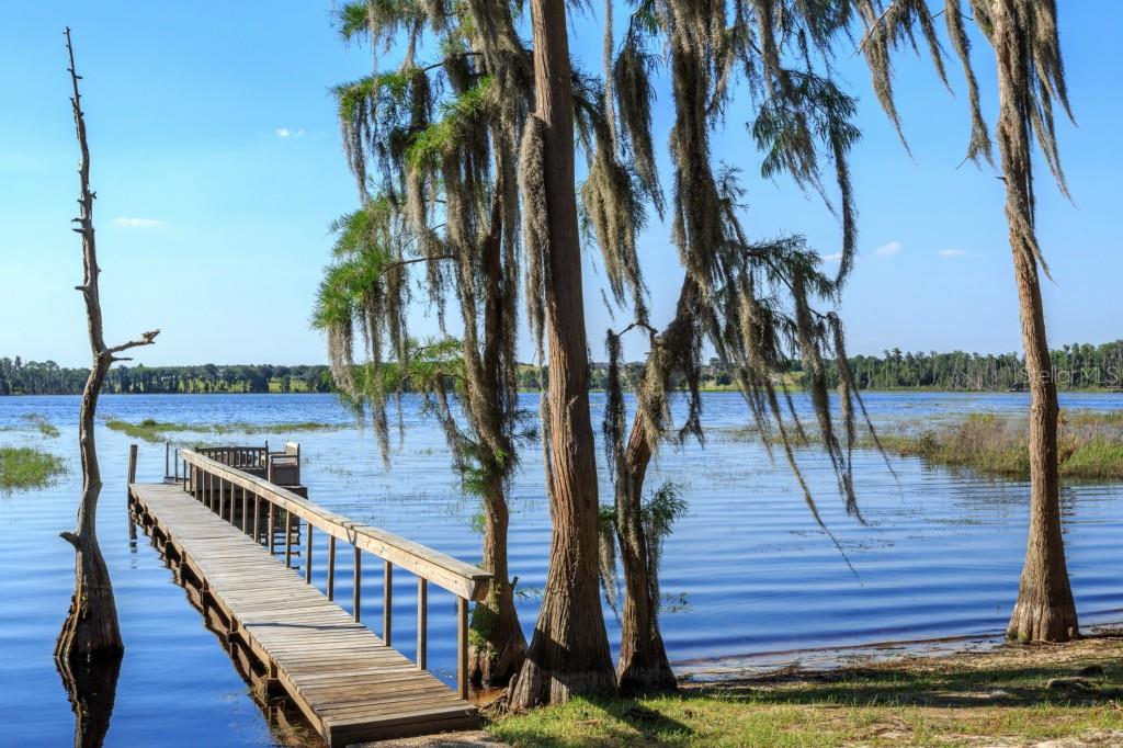10135 Florida Boys Ranch Road Clermont, FL 34711 - Photo 1 of 1 Lakeview from Dock