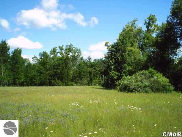 Tbd Tbd Brinton Road Blanchard, MI 49310 - Photo 21 of 24 1769811-21.JPG