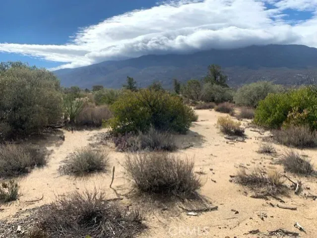 a view of a dry yard with lots of green space