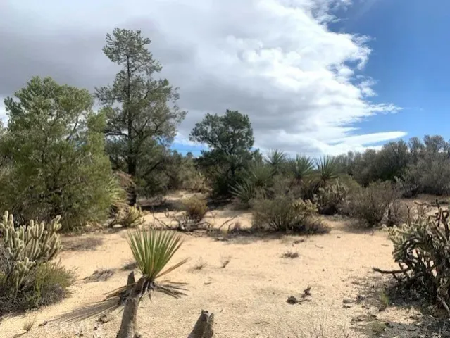 a view of a dry yard covered in snow