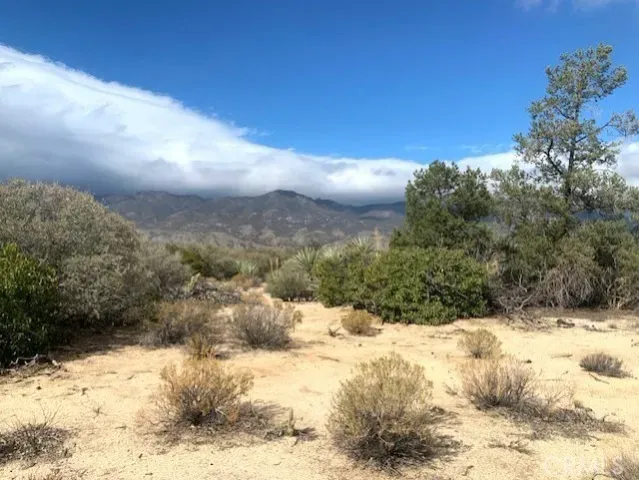 a view of a snow in the yard