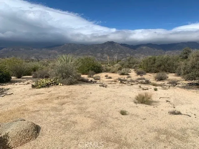 a view of a dry yard covered in snow