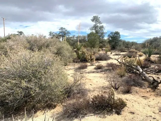 a view of a yard covered with snow
