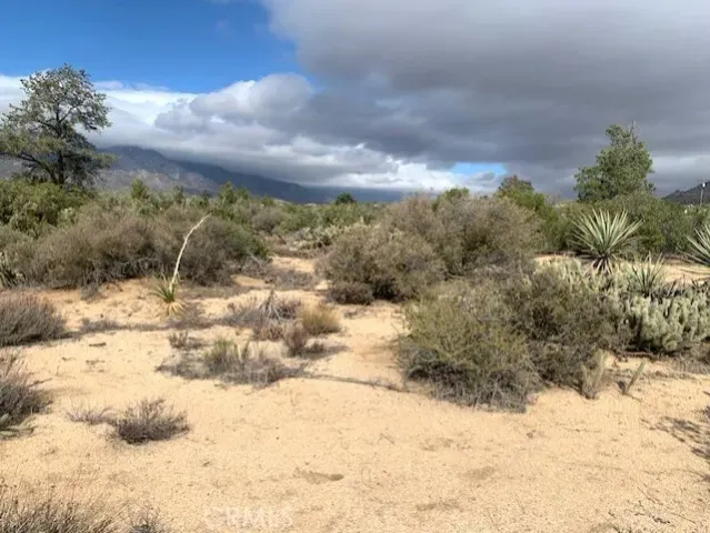 a view of a yard covered in snow
