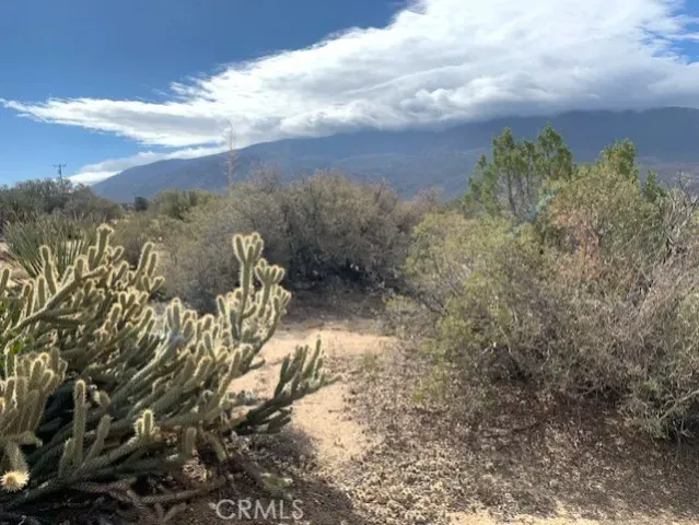 a view of a yard with mountain view