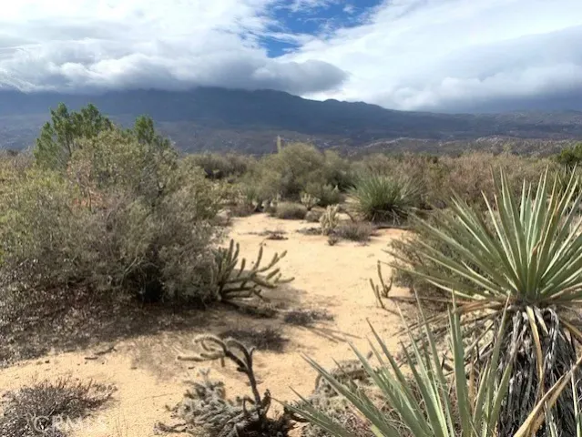 a view of a yard with mountains in the background
