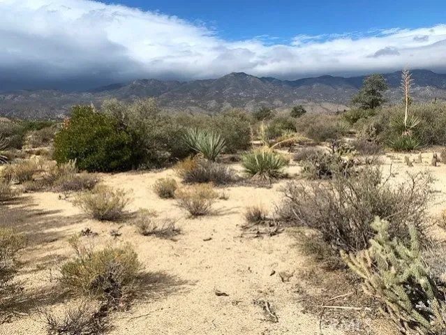 a view of outdoor space and covered with snow