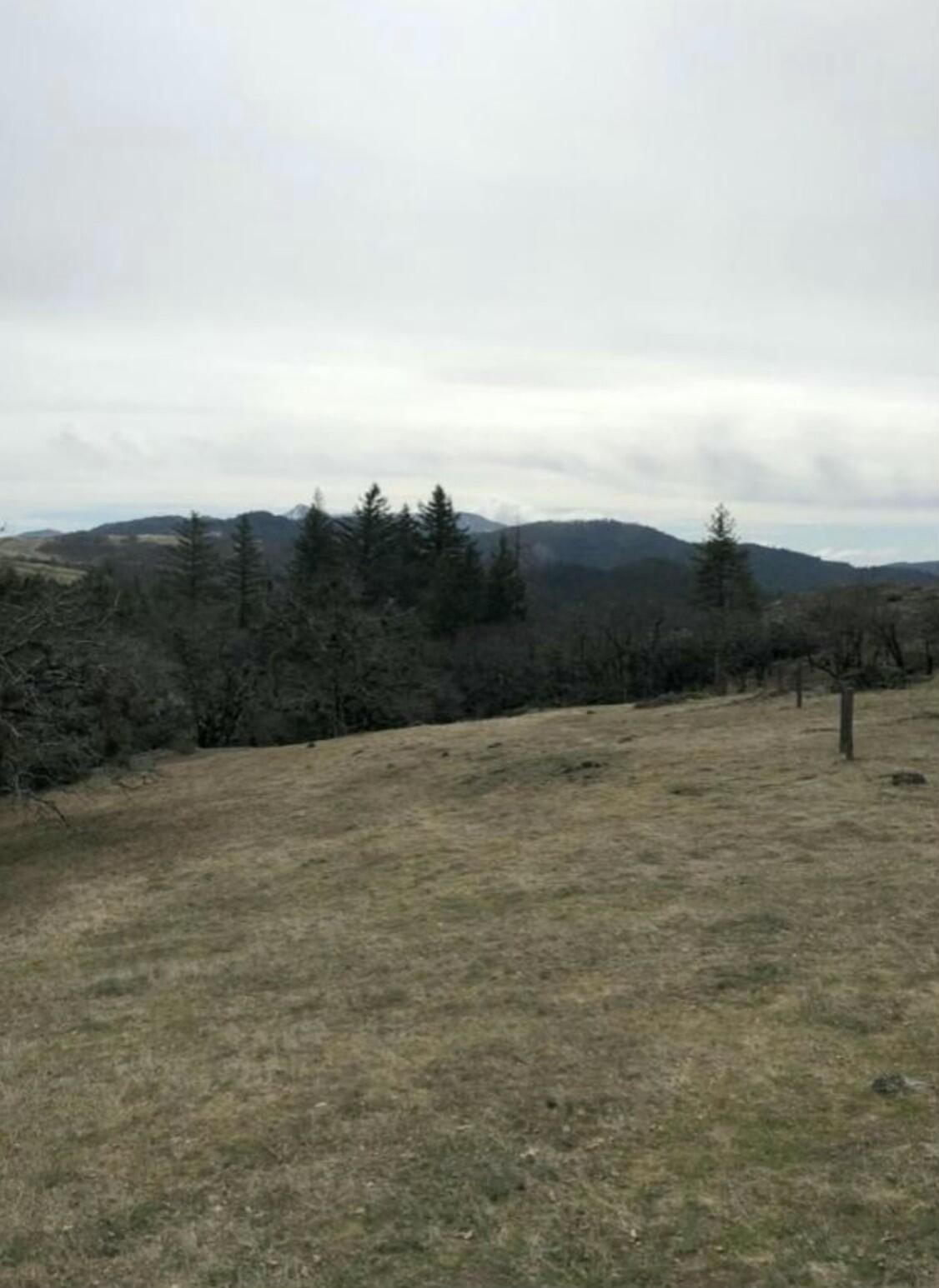 0 Buck Mountain Road Bridgeville, CA 95526 - Photo 7 of 8