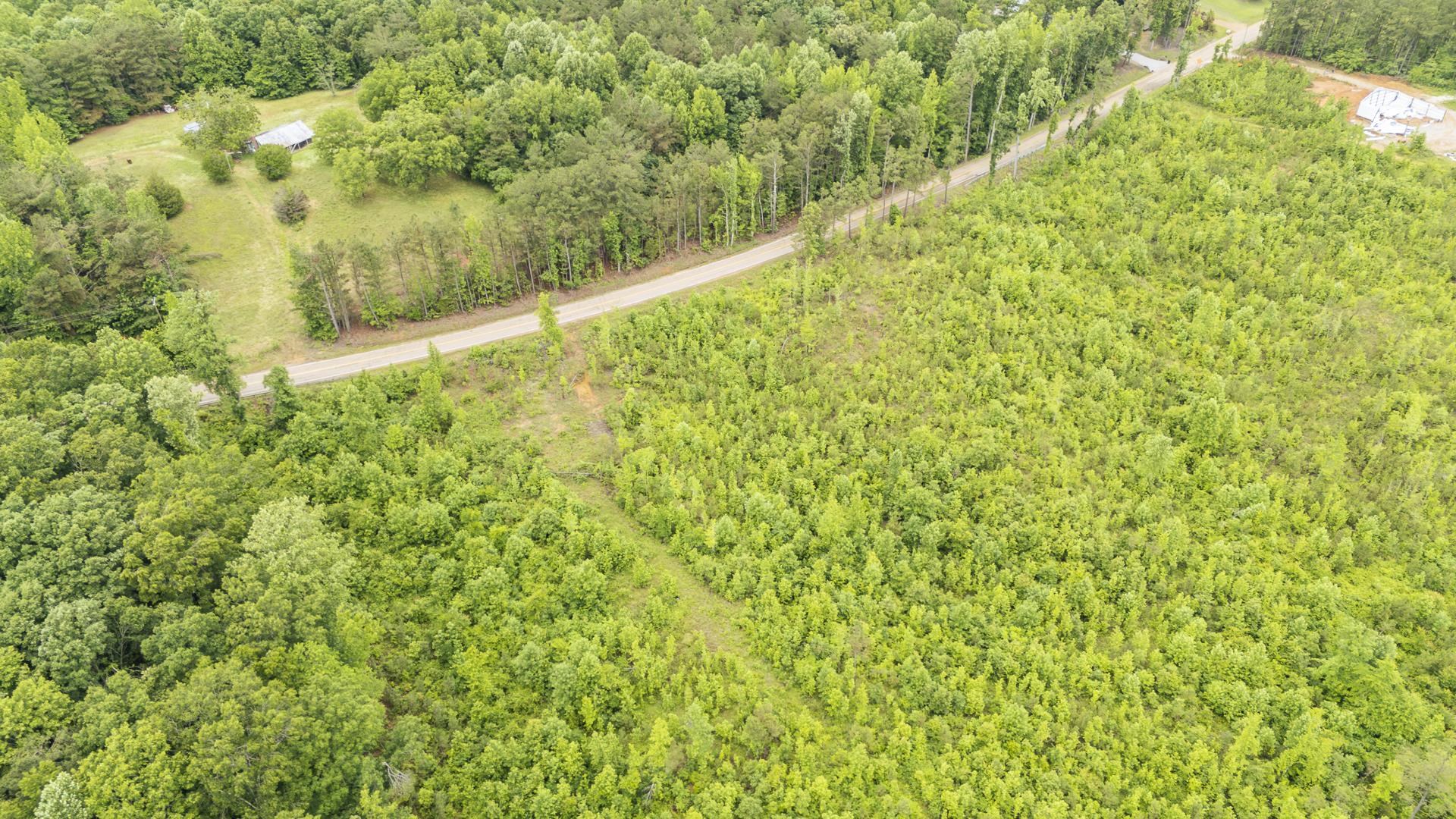 0 Leapwood Enville Road Adamsville, TN 38310 - Photo 23 of 38 a view of a green yard with large trees
