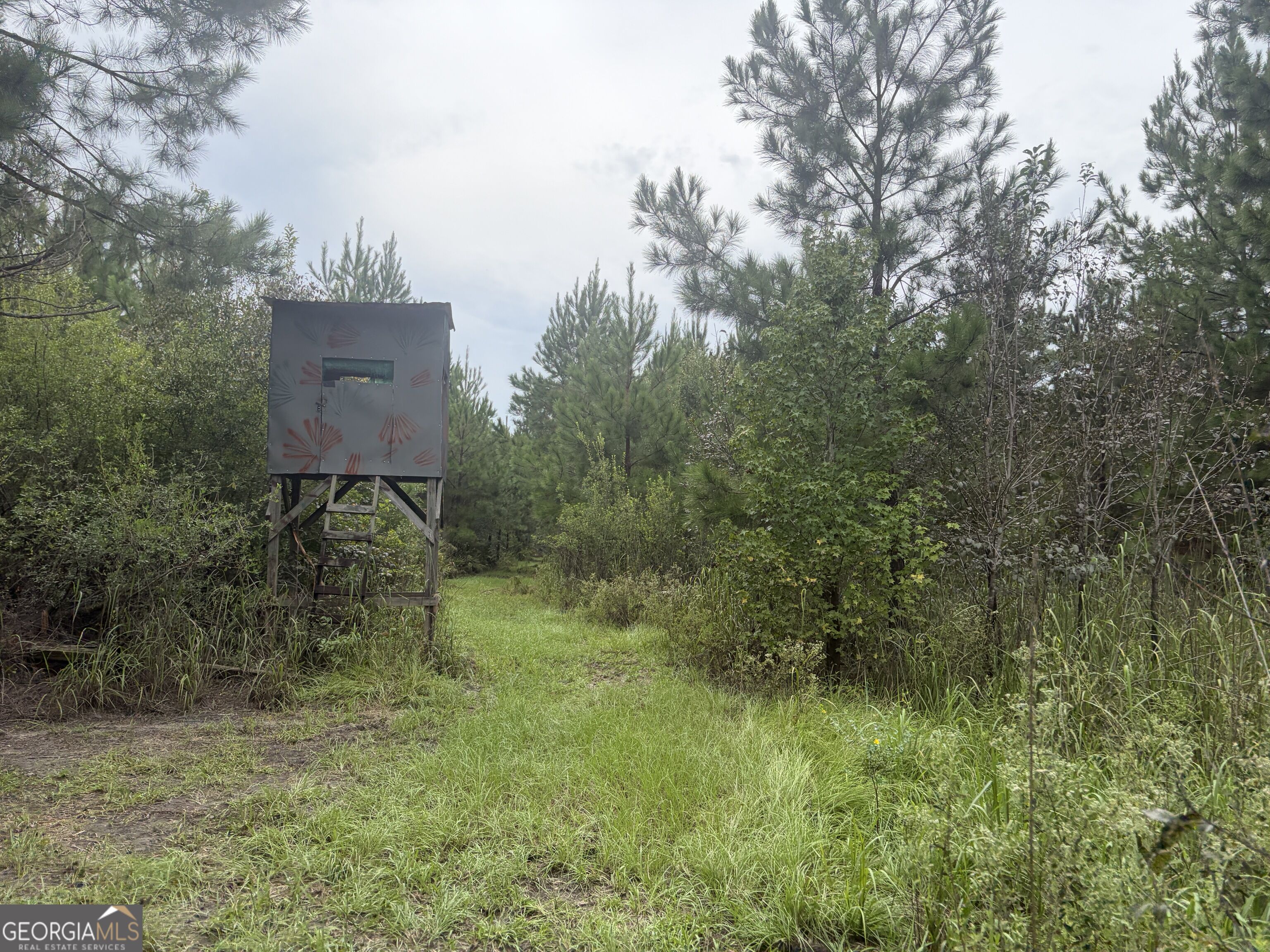 0 Jamestown Road Waycross, GA 31503 - Photo 78 of 92 Gallery Image 78