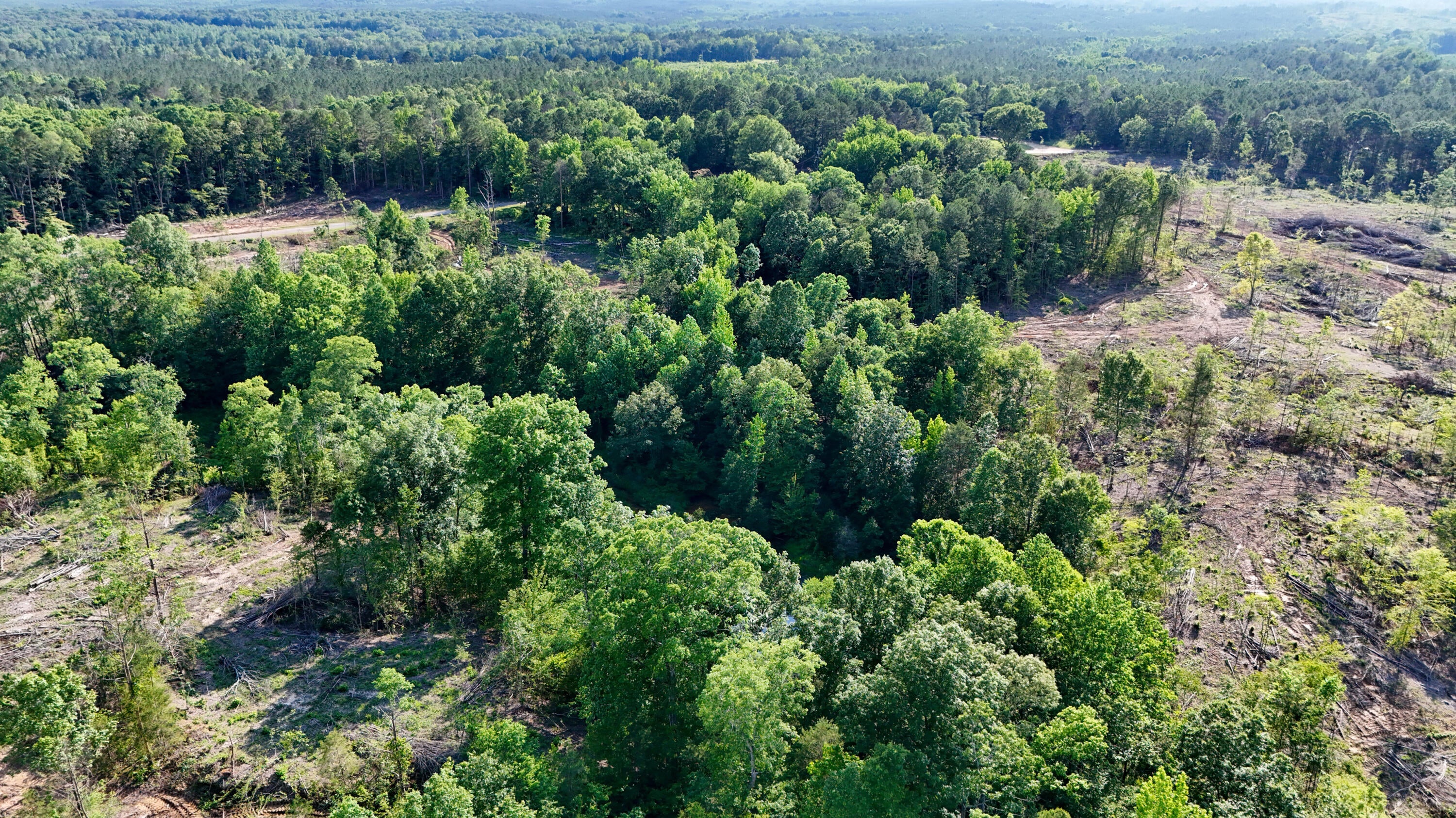 2 Hohenlinden Road Mantee, MS 39751 - Photo 23 of 68 Gallery Image 23