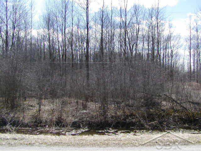 Trinklein Road Saginaw, MI 48609 - Photo 1 of 1 Gallery Image 1