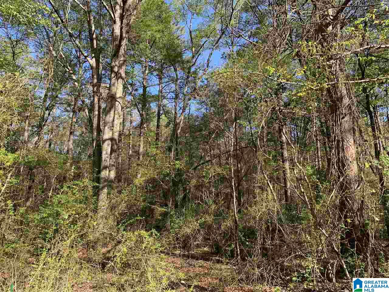 400 Valley Road, Unit 10 Talladega, AL 35160 - Photo 4 of 5