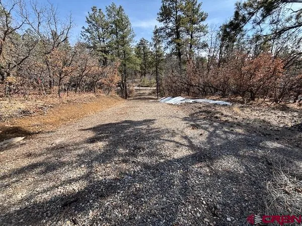 a view of outdoor space with trees