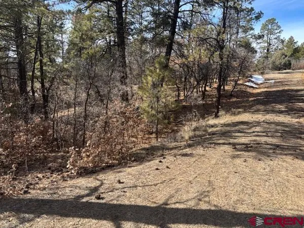 $215,000 | 2308 Bull Elk Place, Pagosa Springs, CO 81147