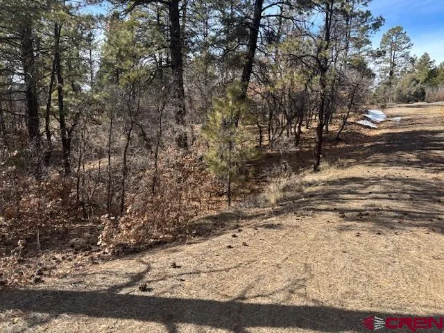 $215,000 | 2308 Bull Elk Place, Pagosa Springs, CO 81147