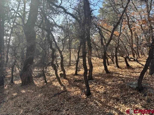 $215,000 | 2308 Bull Elk Place, Pagosa Springs, CO 81147