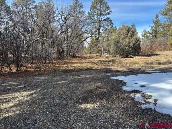 a view of dirt yard with trees
