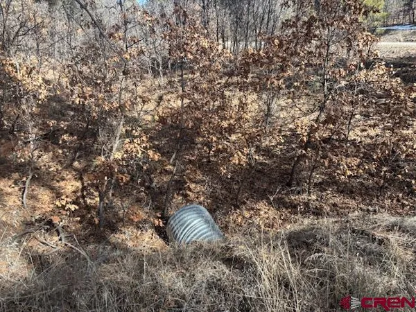 a view of a tree in a field