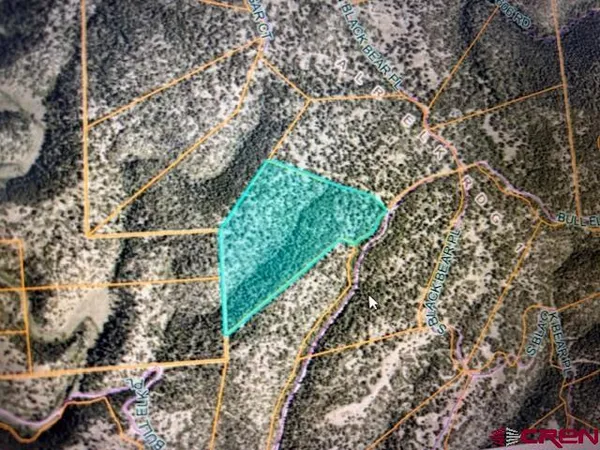 a view of a yard with plants and wooden fence