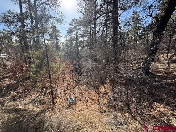 a view of outdoor space with trees