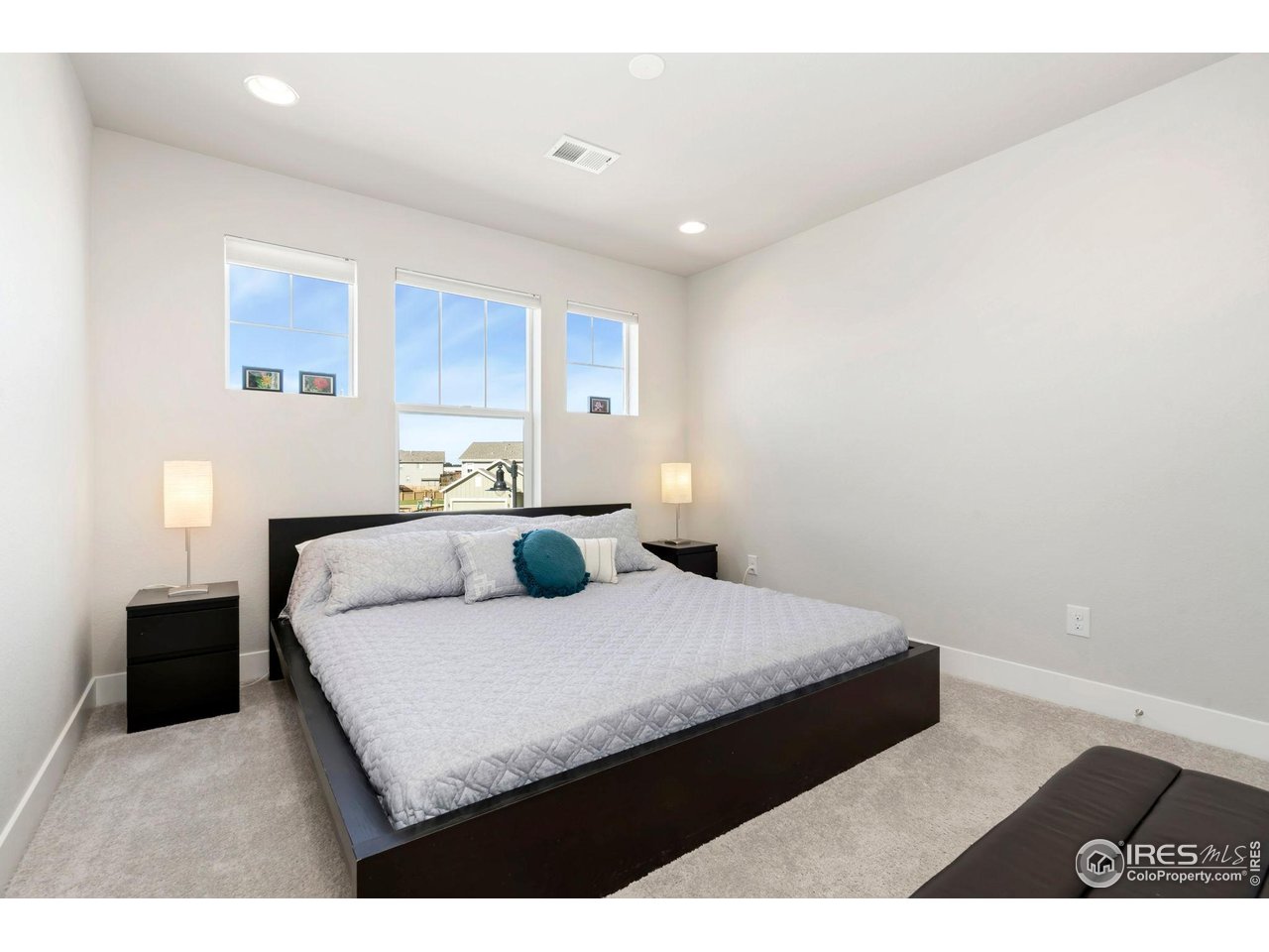 6411 Verna Court Timnath, CO 80547 - Photo 19 of 28