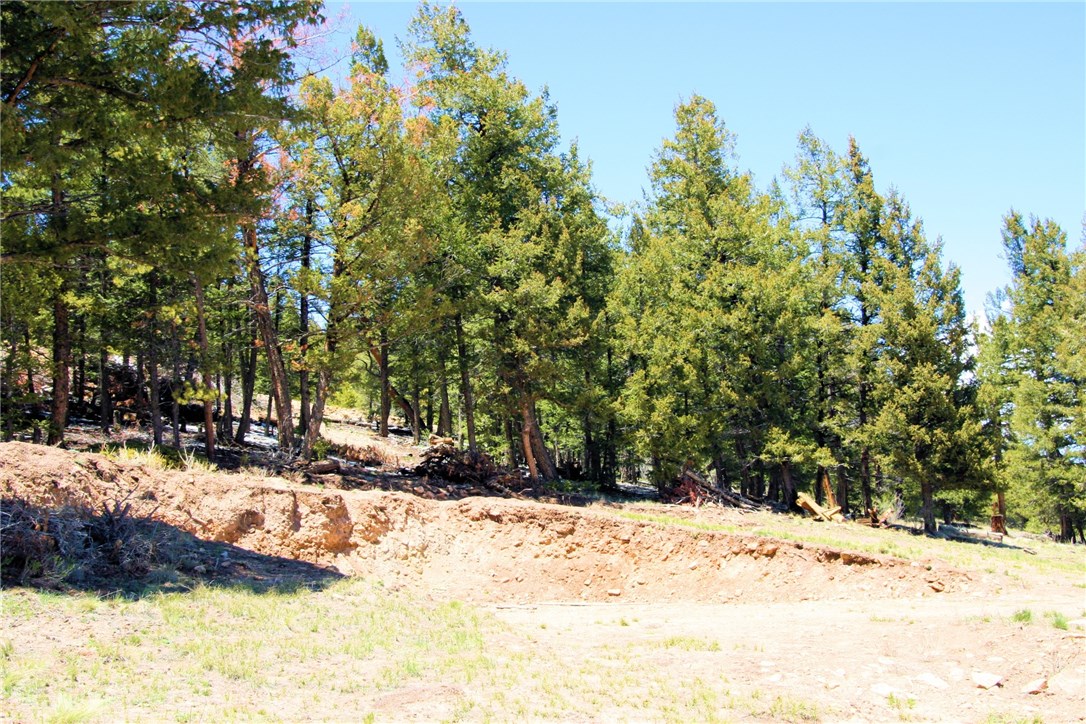 1854 Redhill Road Fairplay, CO 80440 - Photo 2 of 21 Gallery Image 2
