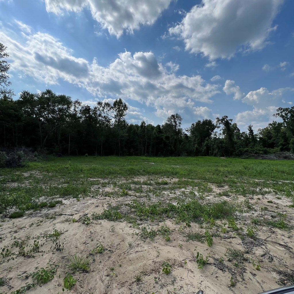 520 George Road Dothan, AL 36301 - Photo 9 of 12