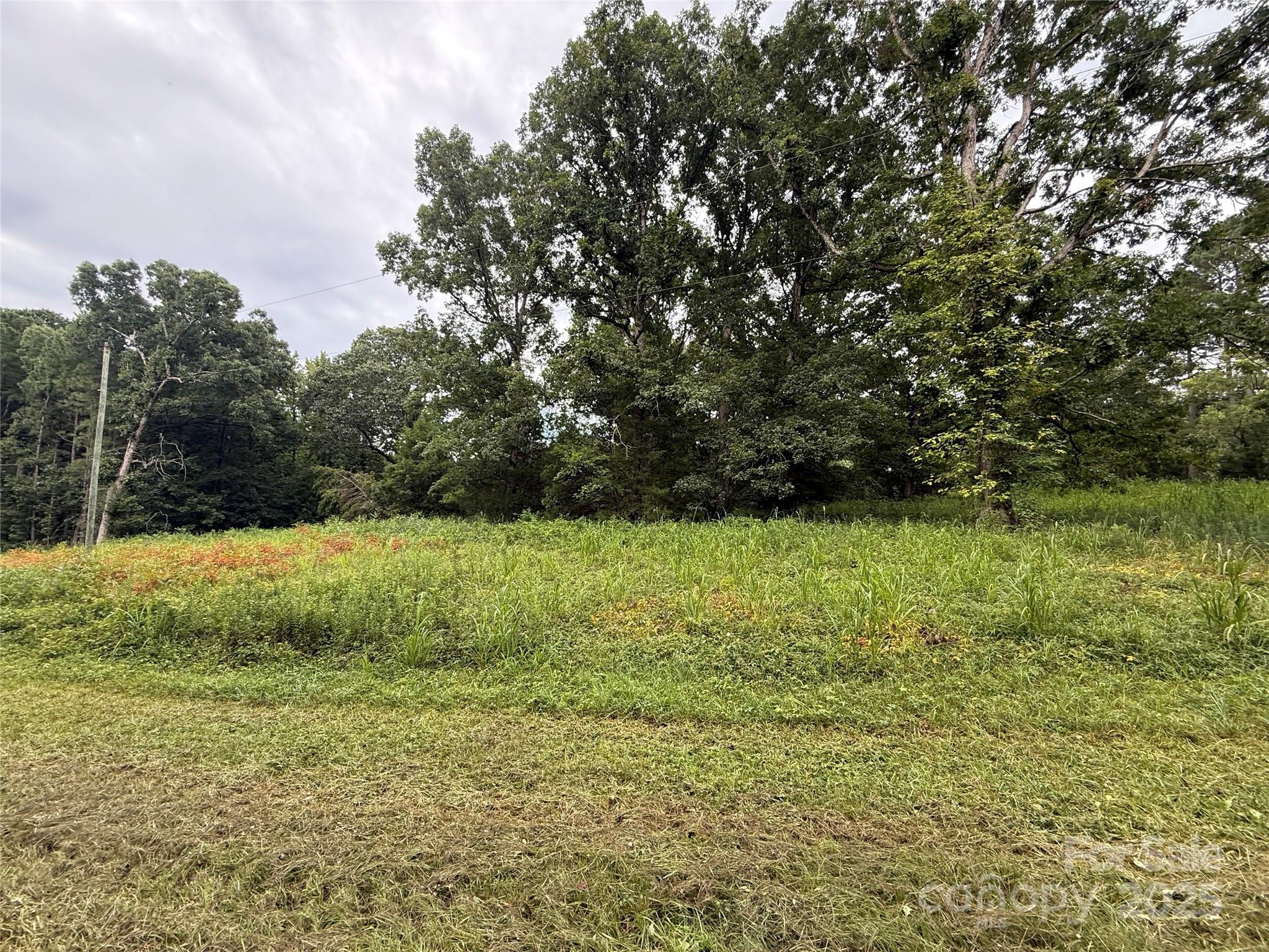 Vac Old Thompson Road Norwood, NC 28128 - Photo 4 of 5 a view of yard with green space