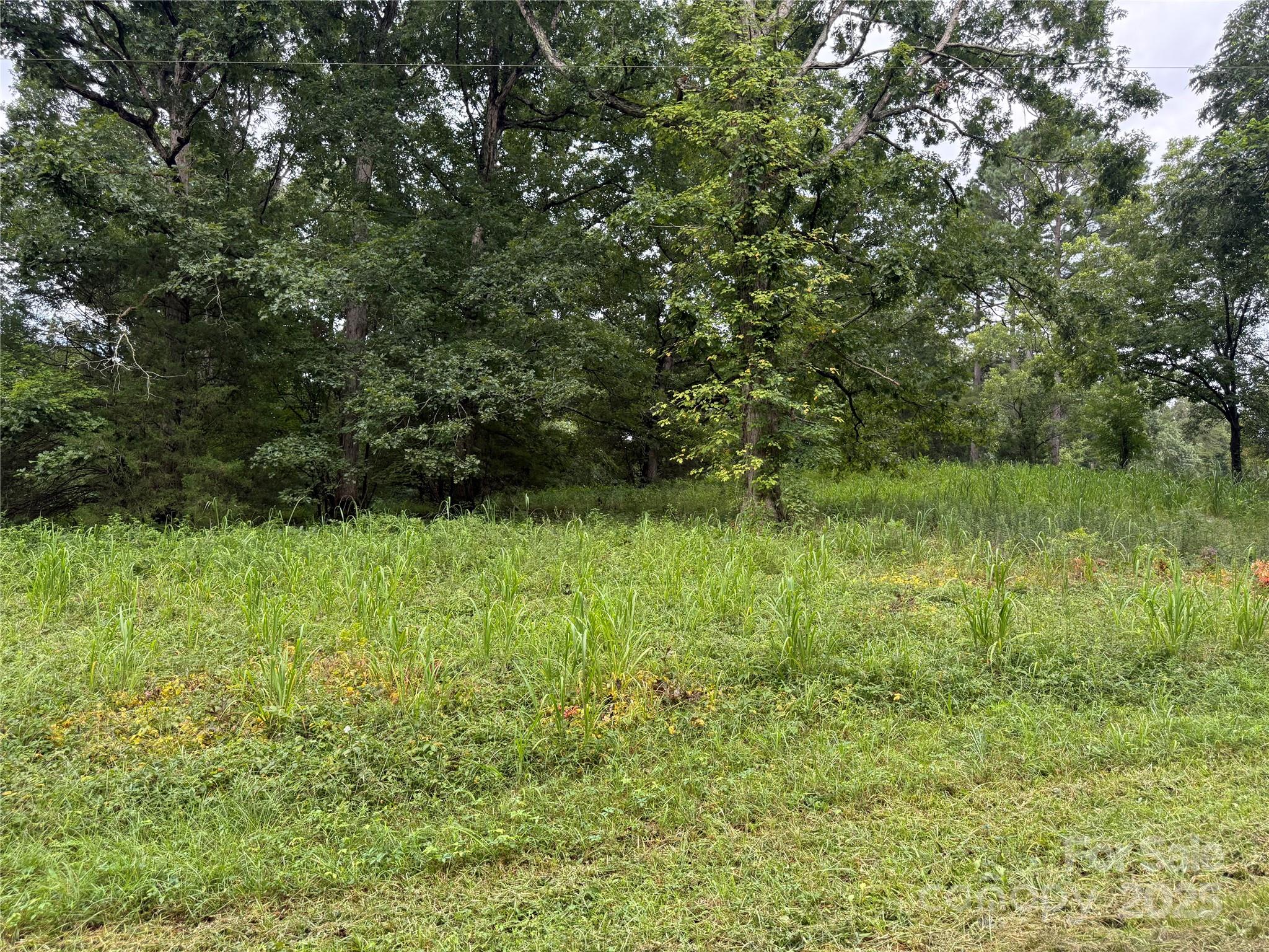 Vac Old Thompson Road Norwood, NC 28128 - Photo 5 of 5 a view of outdoor space and yard