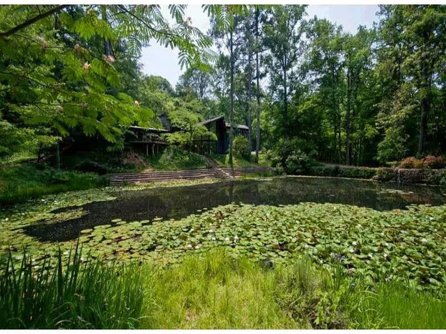 a view of lake with green space