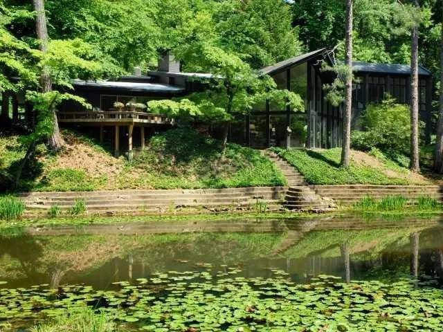 a view of a backyard