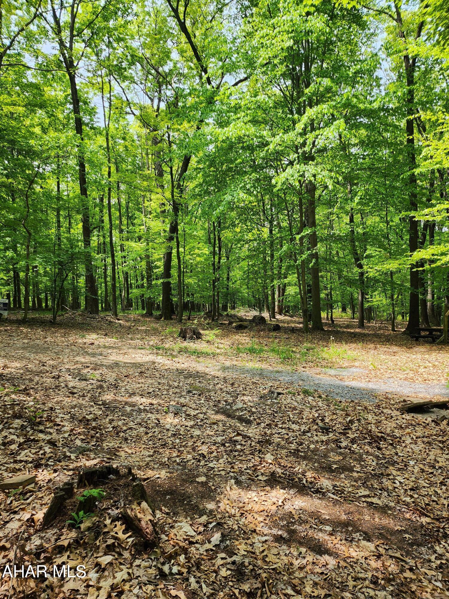 0 Mosquito Hollow Road Six Mile Run, PA 16679 - Photo 13 of 29