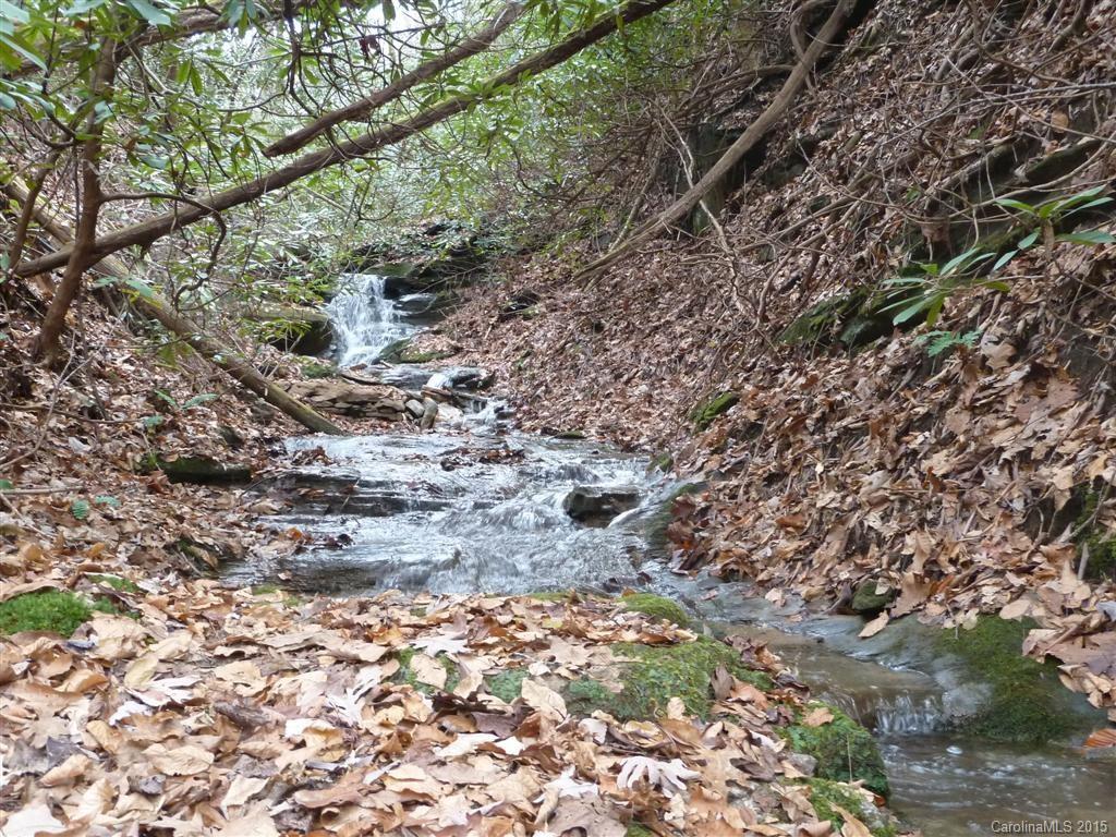 6553 Bat Cave Road Old Fort, NC 28762 - Photo 14 of 24 Gallery Image 14